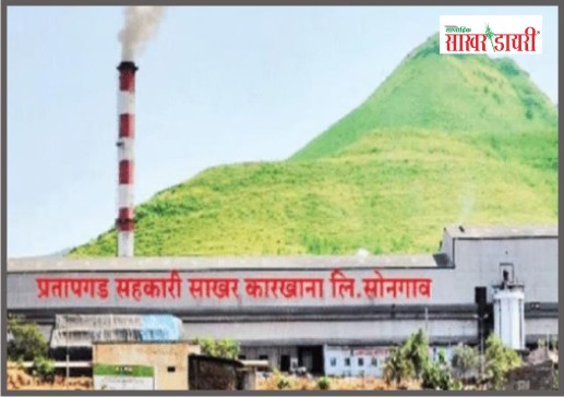 latest sugar news